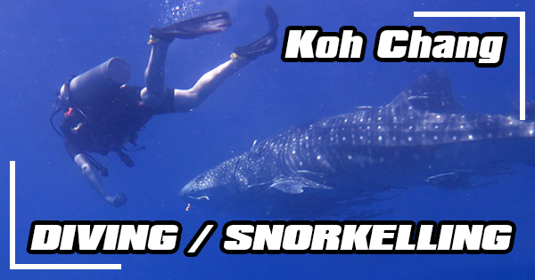 Diving and snorkelling in Koh Chang